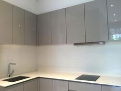Robin Residences (D10), Condominium #567712671